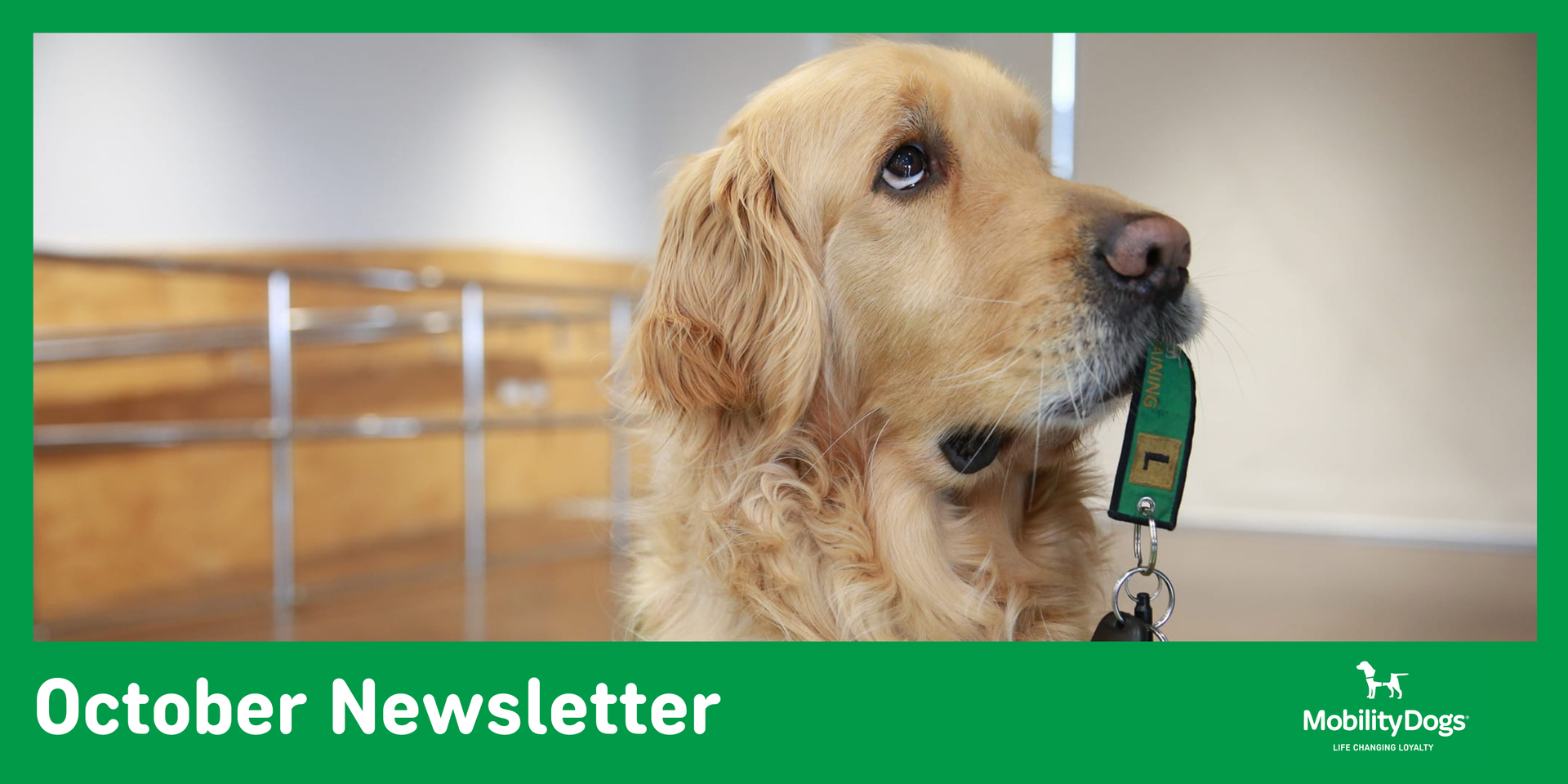 Mobility Assistance Dogs Trust